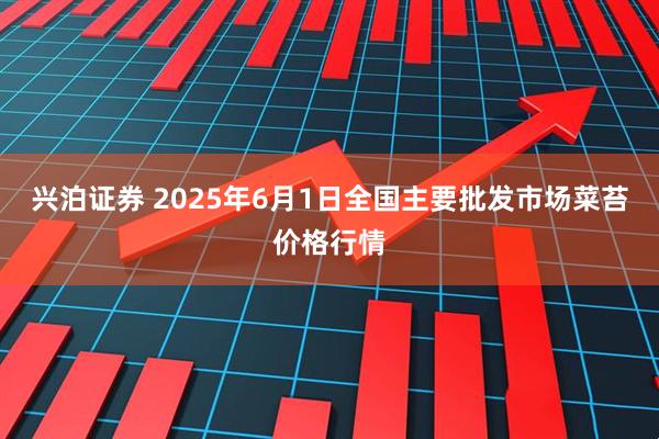 兴泊证券 2025年6月1日全国主要批发市场菜苔价格行情