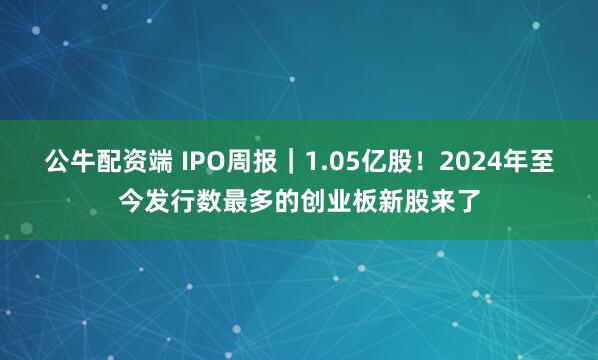 公牛配资端 IPO周报｜1.05亿股！2024年至今发行数最多的创业板新股来了