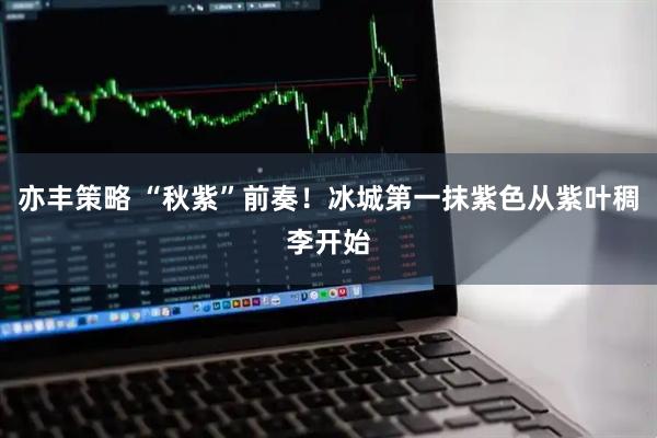 亦丰策略 “秋紫”前奏！冰城第一抹紫色从紫叶稠李开始