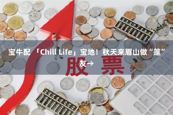 宝牛配 「Chill Life」宝地！秋天来眉山做“篷”友→